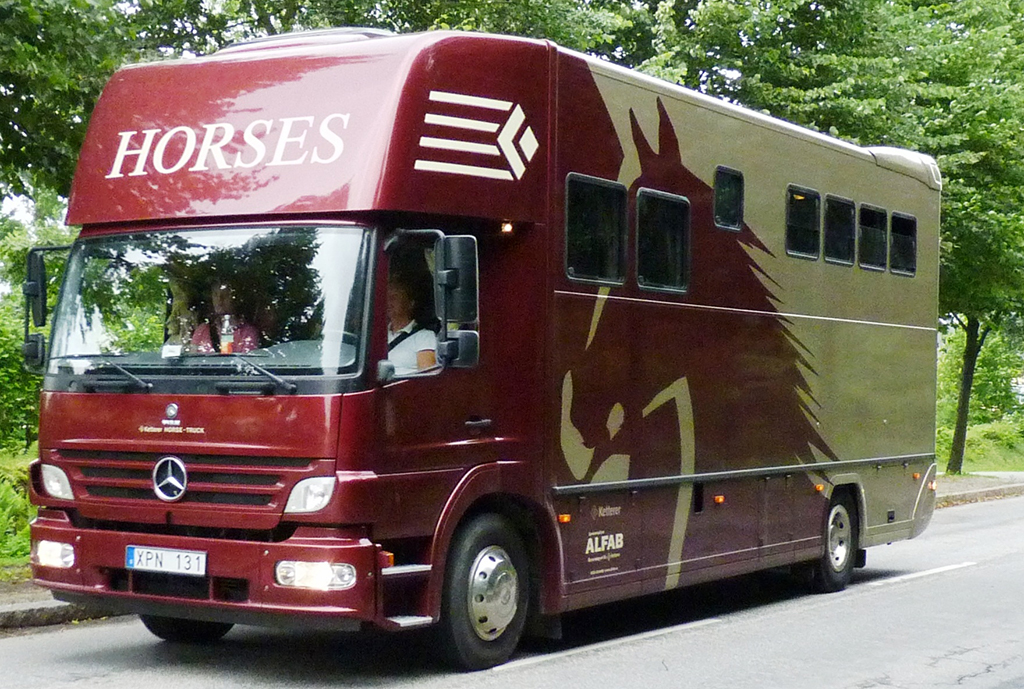 Mercedez Benz Horsebox